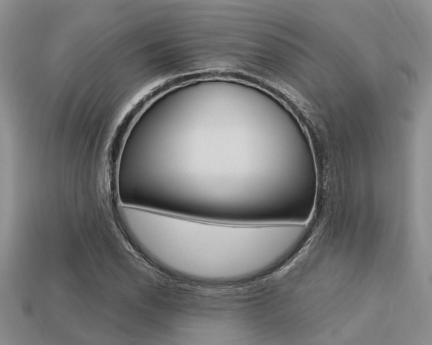X0000113221118200909100916