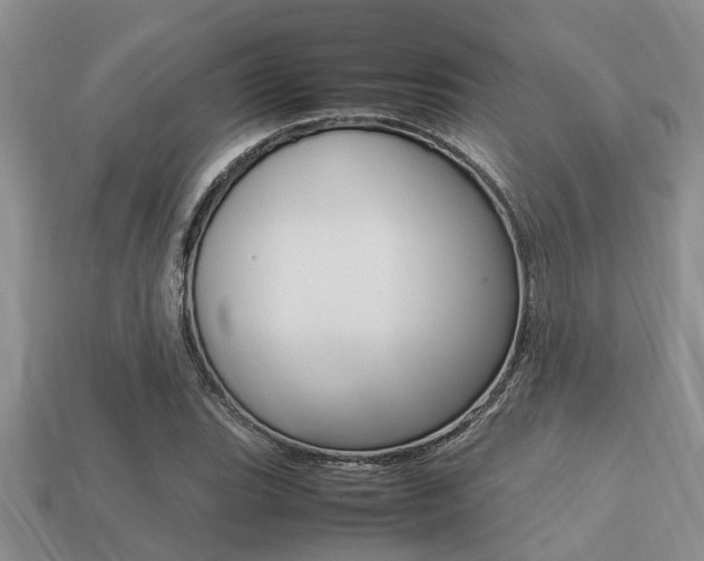 X0000113221119200909100916