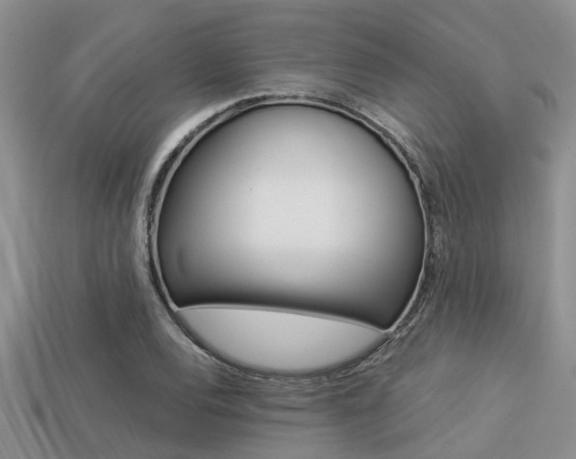 X0000113221120200909100916