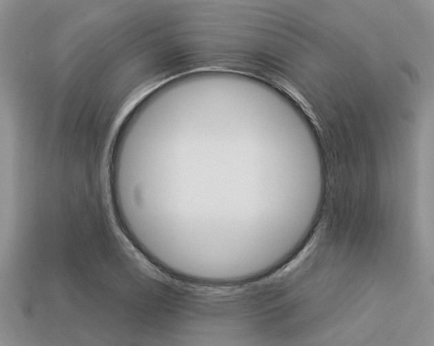 X0000113221122200909100916