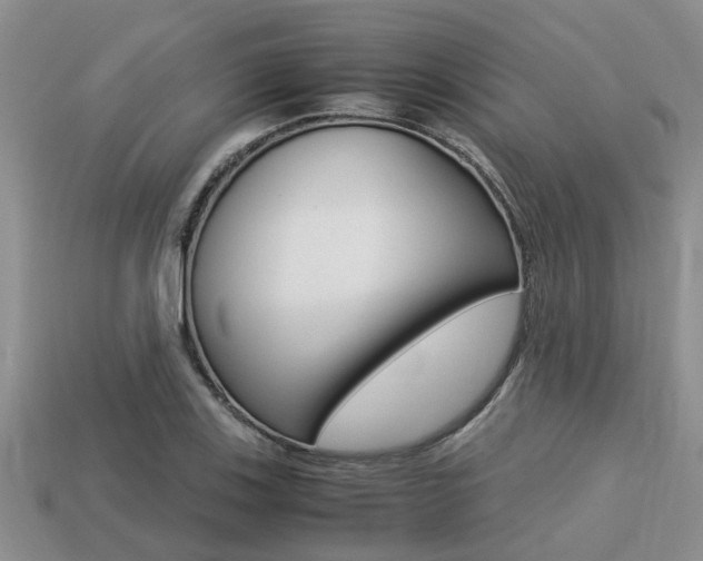 X0000113221123200909100916