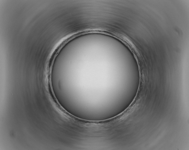 X0000113221124200909100916