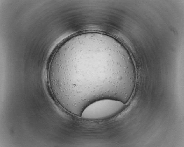 X0000113221125200909100916