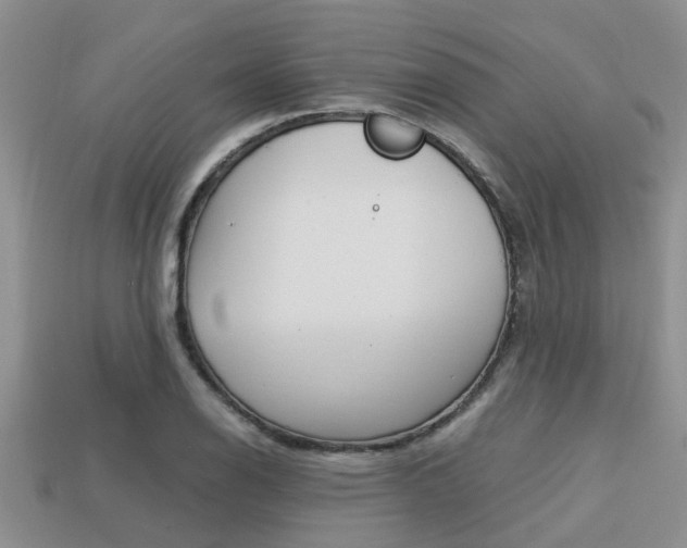 X0000113221126200909100916