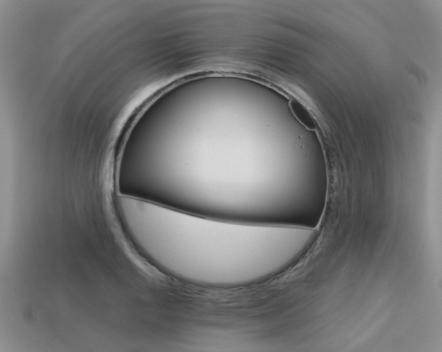 X0000113221128200909100916