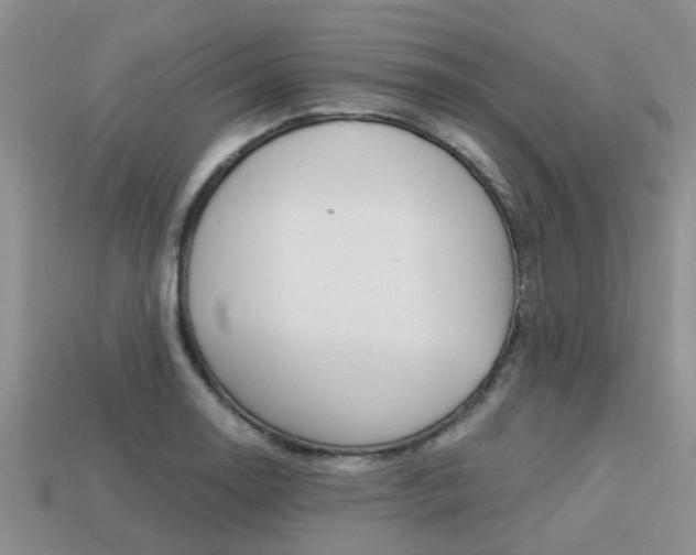 X0000113221130200909100916