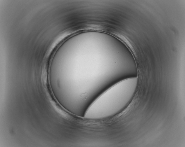 X0000113221131200909100916