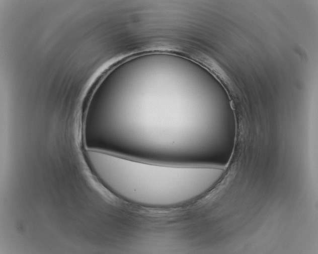 X0000113221132200909100916