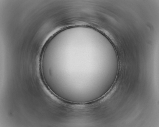 X0000113221134200909100916