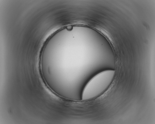 X0000113221135200909100916