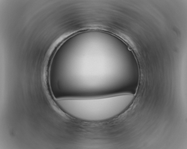 X0000113221136200909100916