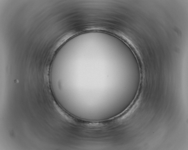 X0000113221137200909100916