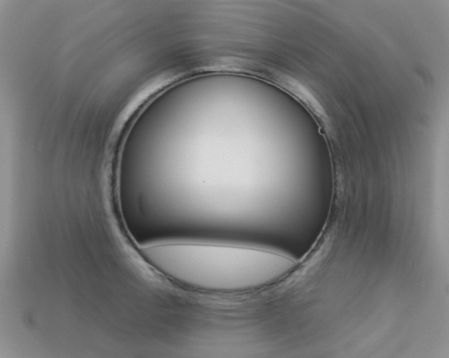 X0000113221138200909100916