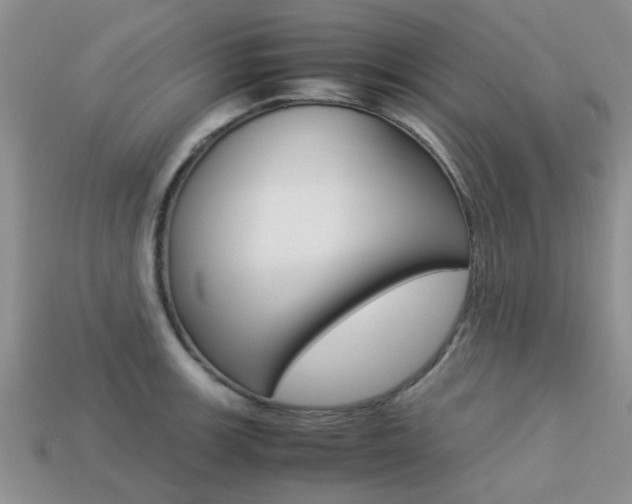 X0000113221139200909100916