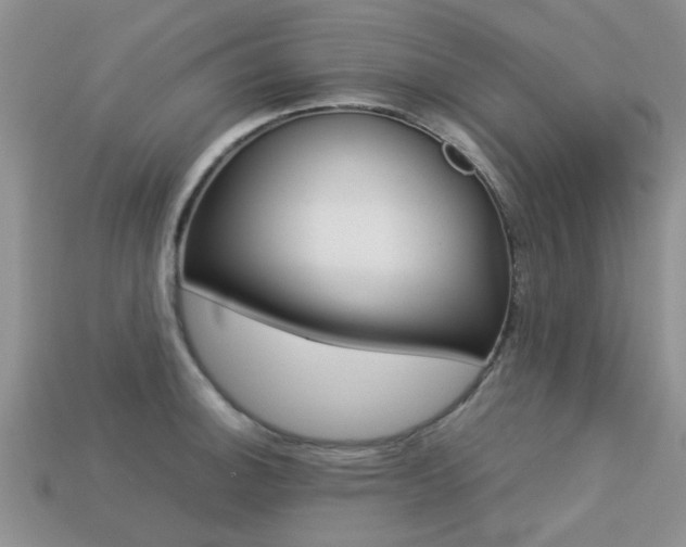 X0000113221140200909100916