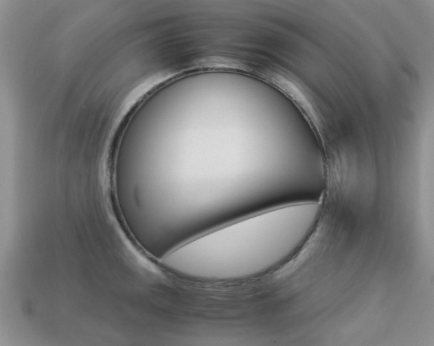 X0000113221141200909100916
