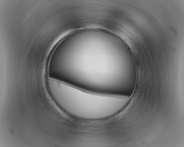 X0000113221142200909100916