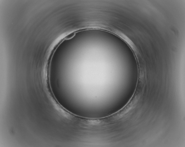 X0000113221144200909100917