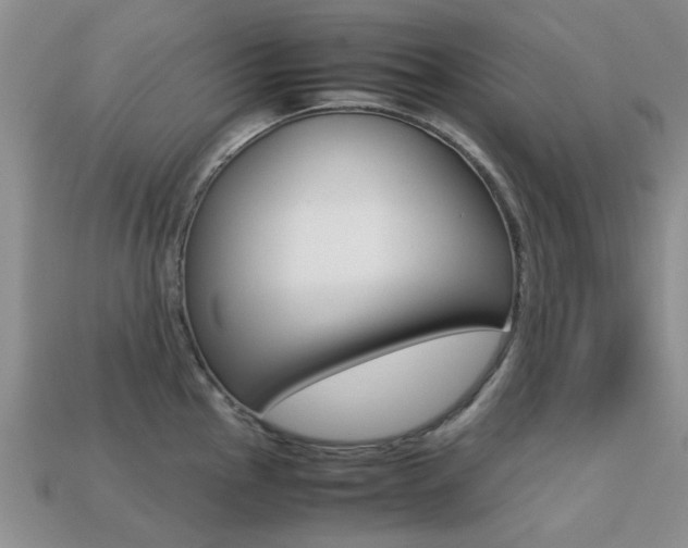 X0000113221145200909100917