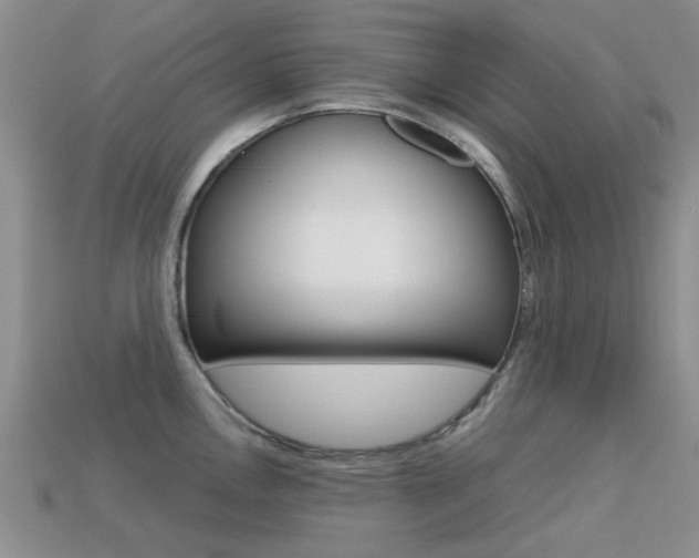 X0000113221146200909100917