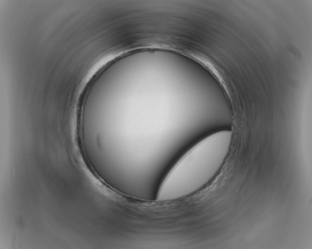 X0000113221147200909100917
