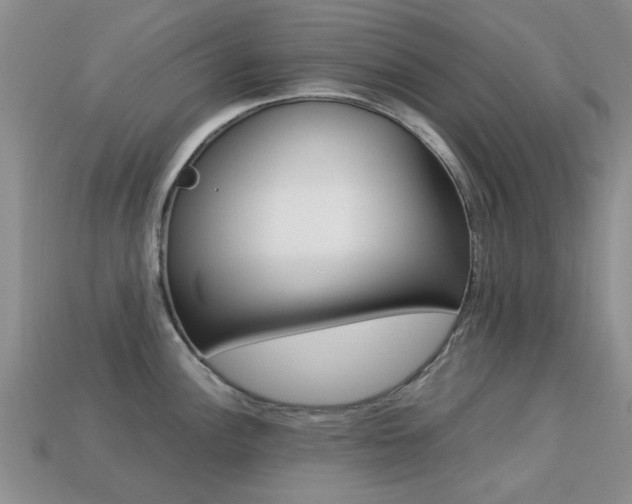 X0000113221148200909100917