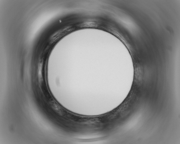 X0000113221150200909100917