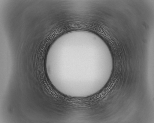 X0000113221153200909100916