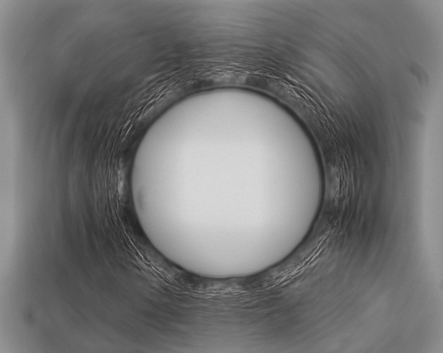 X0000113221154200909100916