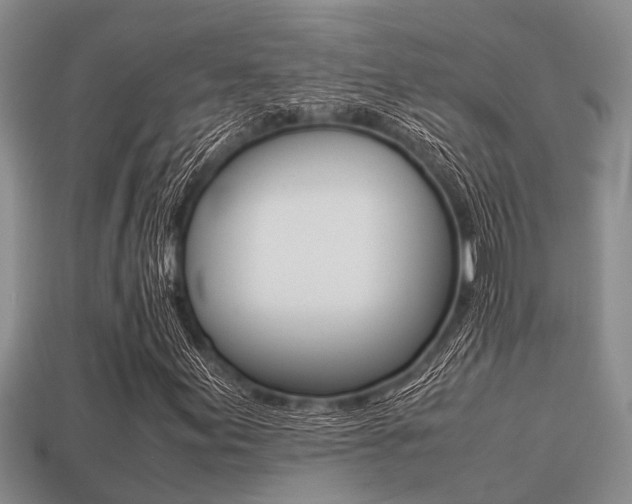 X0000113221155200909100916
