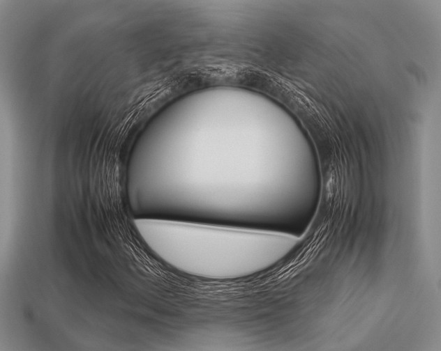 X0000113221156200909100916