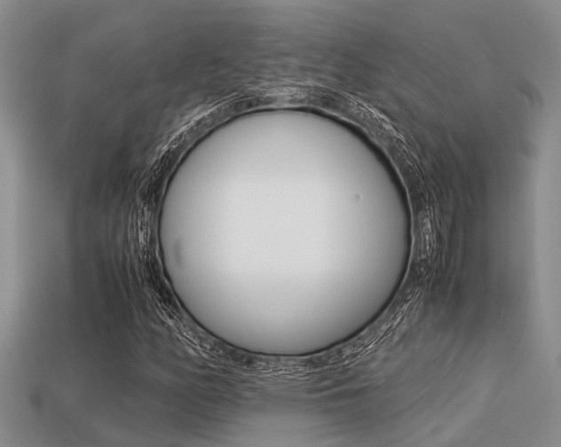 X0000113221158200909100916
