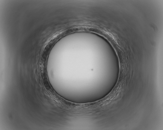 X0000113221159200909100916