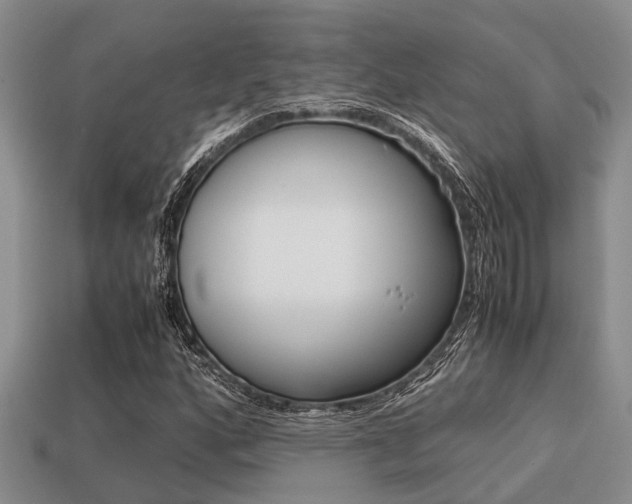 X0000113221160200909100916