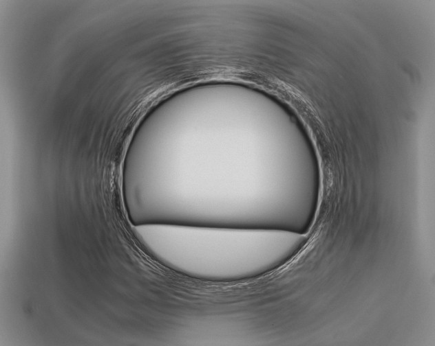X0000113221161200909100916