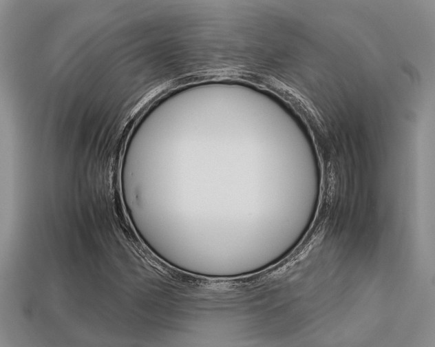 X0000113221162200909100916