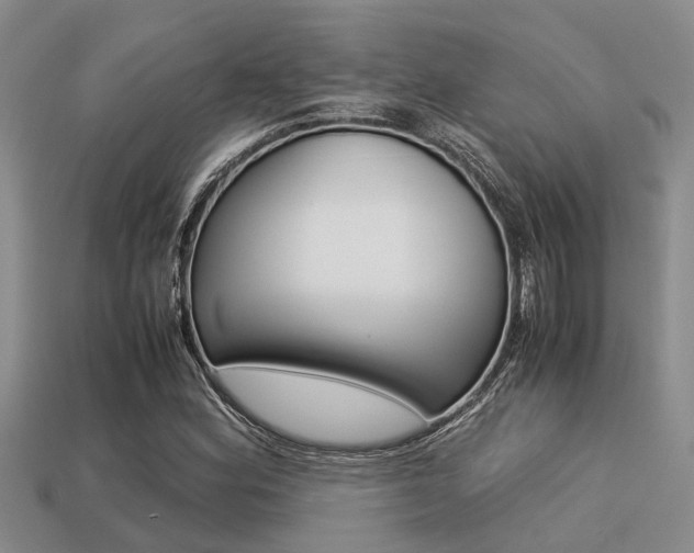 X0000113221164200909100916