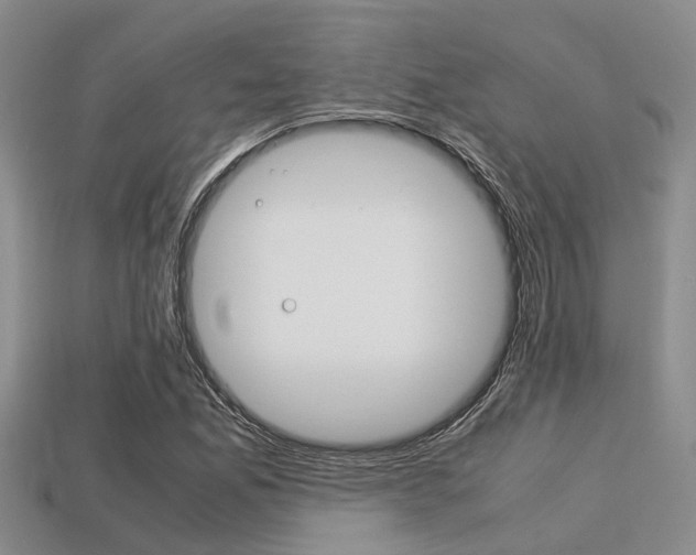 X0000113221165200909100916