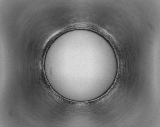 X0000113221166200909100916