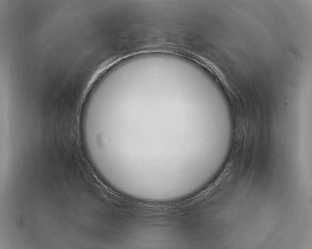X0000113221168200909100916