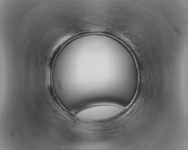 X0000113221171200909100916