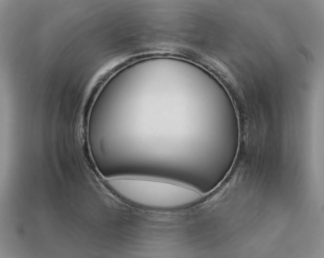 X0000113221172200909100916
