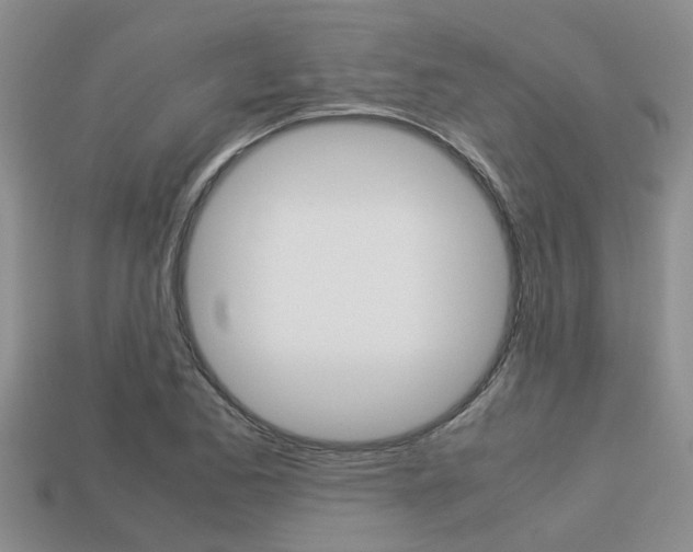 X0000113221173200909100916