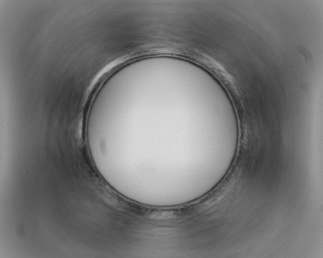 X0000113221174200909100916