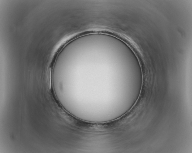 X0000113221175200909100916