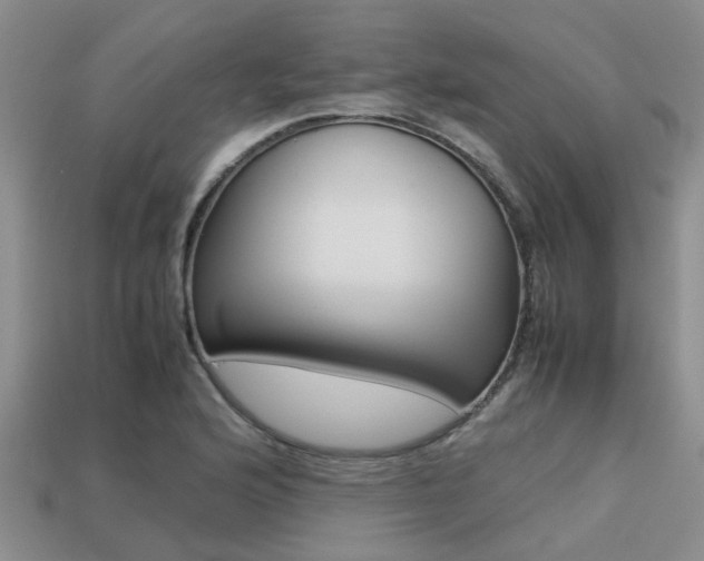 X0000113221176200909100916