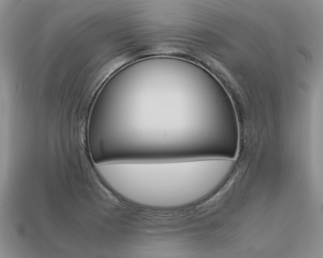 X0000113221177200909100916
