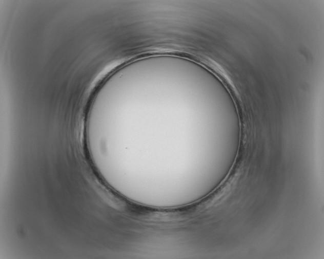 X0000113221179200909100916