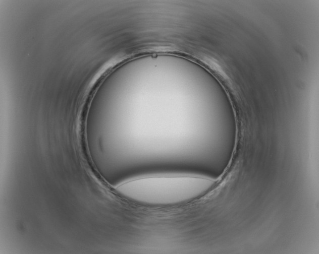 X0000113221181200909100916