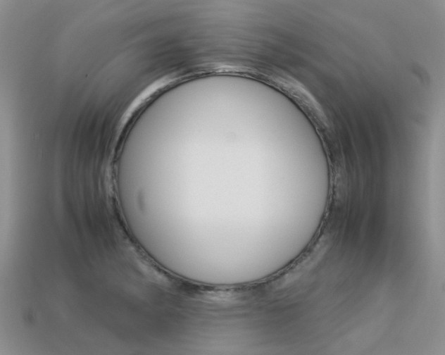 X0000113221182200909100916